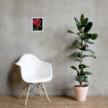 Load image into Gallery viewer, True Love Print- Rose Framed Print - Alinato Art

