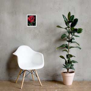 True Love Print- Rose Framed Print - Alinato Art